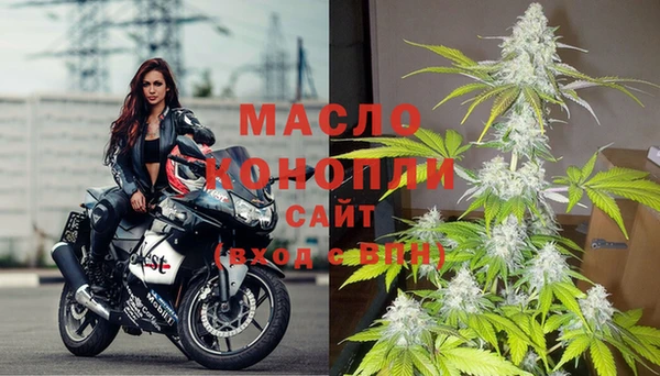 гашик Майский