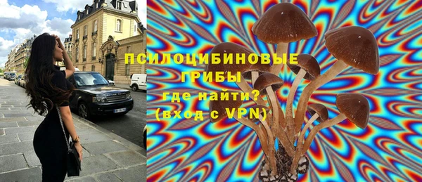 а пвп мука Козельск