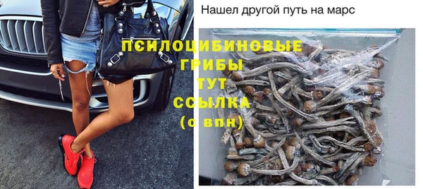 а пвп мука Козельск