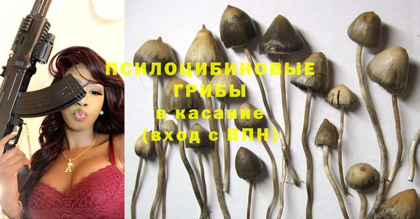 бутират Козловка