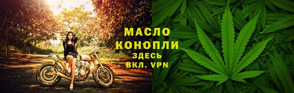 крисы Магас
