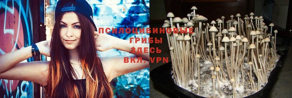 бутират Козловка