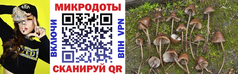 Псилоцибиновые грибы MAGIC MUSHROOMS  Ленск 